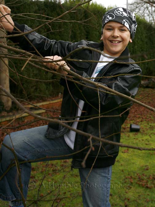 Harry in the tree