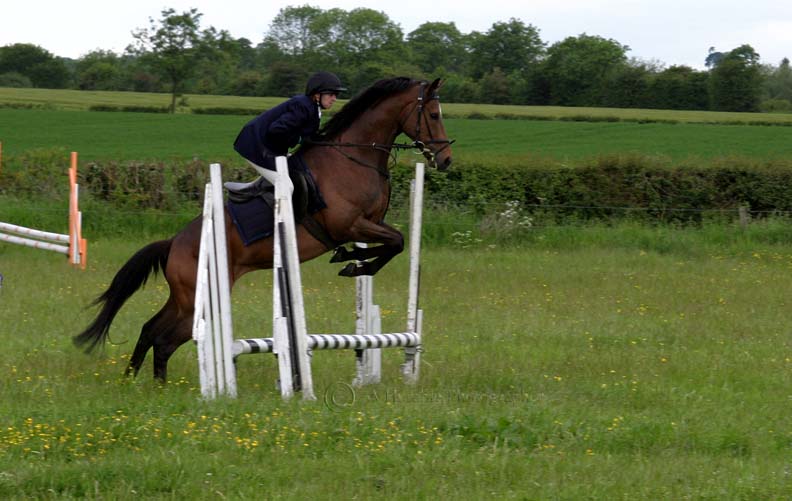 horse trials
