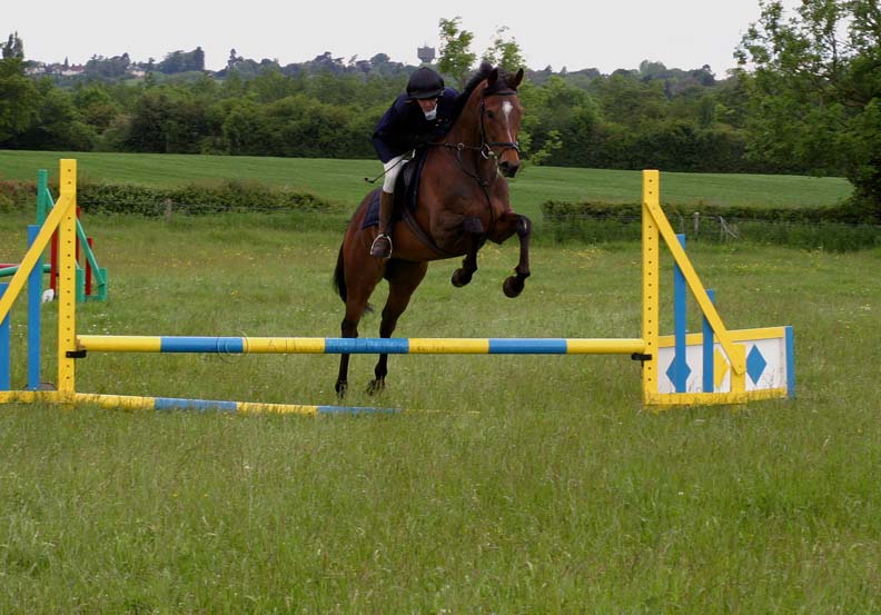 show jumping